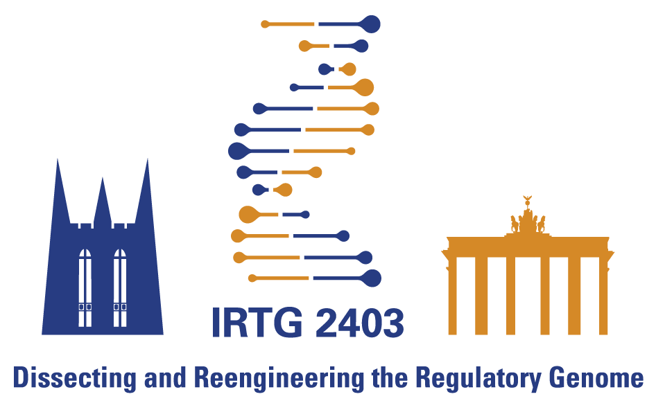 IRTG Logo